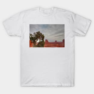 Monument Valley, Clouds, Juniper Tree T-Shirt